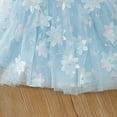 thumbnail image 6 of Floleo Girls Floral Tulle Tutu Skirt Kids Elastic Waist Layered Mesh Skirt 3D Flower Applique Skirt Lightweight Party Skirt for Play and Special Occasions(Sky Blue,3 Years), 6 of 9