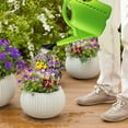 thumbnail image 5 of Vikakiooze Plants Watering Bottle, Detachable Watering Can Large Capacity Watering Can For Indoor Outdoor Garden, 5 of 6