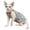 Blue, variant on HQREA Summer Sphynx Cat Clothes Shirts for Hairless Cat T-Shirts Outfits with Bow Heart Pattern Pet Vest for Cornish Devon