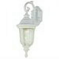 thumbnail image 2 of Trans Globe Lighting 4020 Single Light Down Lighting Outdoor Wall Sconce from th, 2 of 2