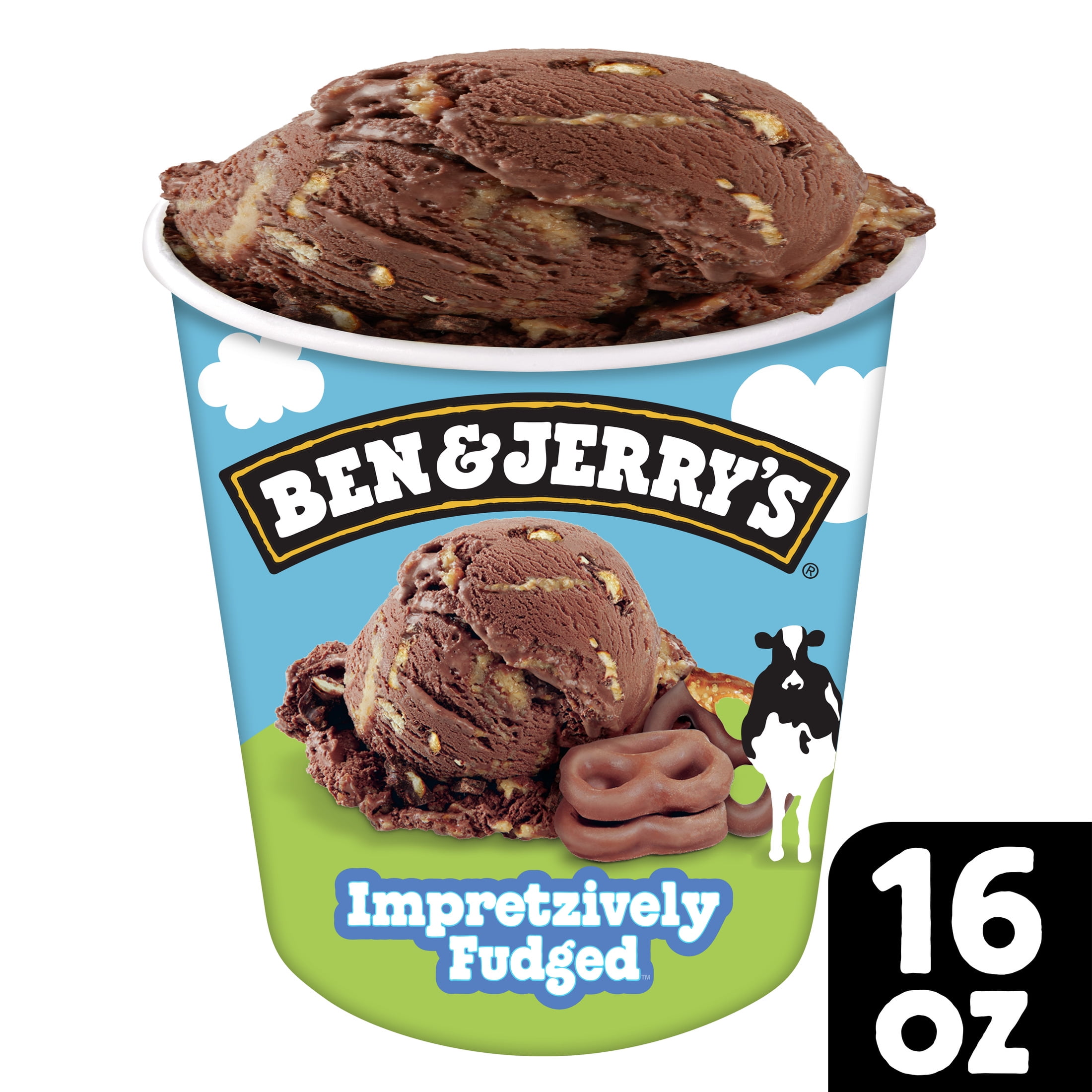Ben & Jerry's Impretzively Fudged Chocolate Ice Cream Pint, 16 fl oz