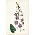 thumbnail image 2 of Curtis 17x24 White Modern Wood Framed Museum Art Print Titled - Lavender Florals VI, 2 of 4