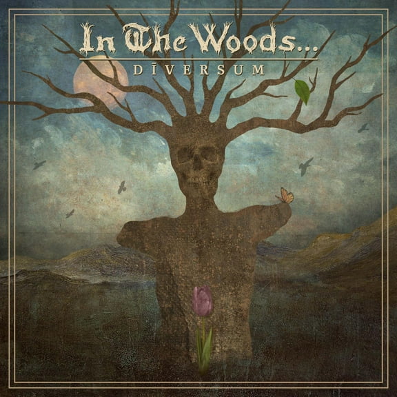 In the Woods... - DIVERSUM - Music & Performance - Vinyl