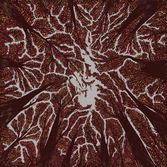 Trash Boat - Crown Shyness - Music & Performance - CD