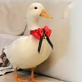 thumbnail image 3 of Bangcool Canard Collier Réglable Mignon Collier de Poulet Noeud Papillon Collier d'Oie avec Cloche, 3 of 10