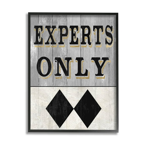 Stupell Industries Experts Only Ski Black Diamond Graphic Art Black Framed Art Print Wall Art, Design by Livi Finn