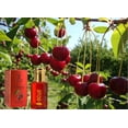 thumbnail image 3 of Cherry Fragrance for Men & Women Floral Fruity Concentrated Perfume oil Long Lasting Fragrance Non-Alcoholic (Parfum 12ml with Velvet Pouch), 3 of 9