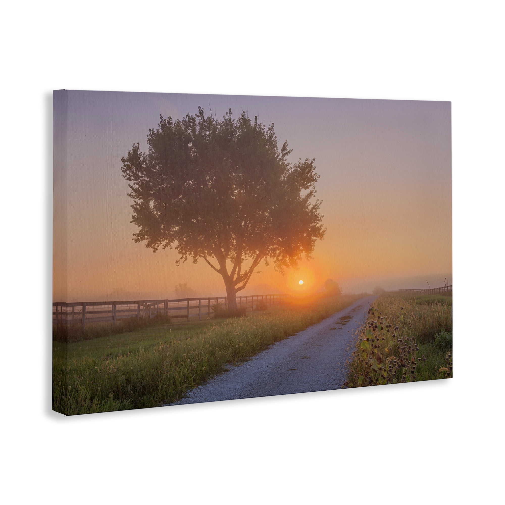 Stupell Industries Flower Lined Path Landscape & Nature Photography Wrapped Canvas Art Print Wall Art, 45 x 30