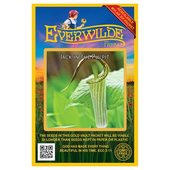 Everwilde Farms - 5 Jack-in-The-Pulpit Native Wildflower Seeds - Gold Vault Seed Packet