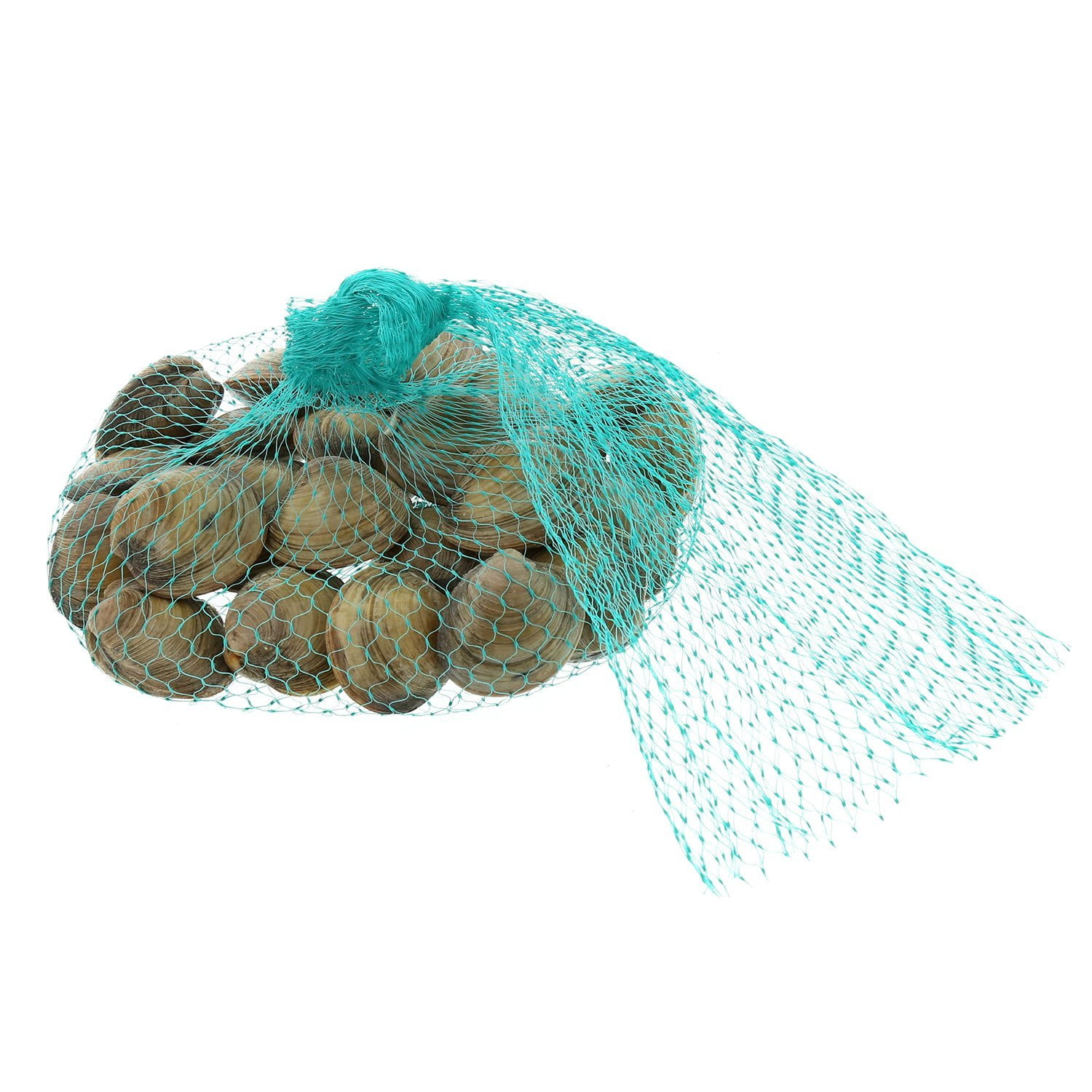 Teal Plastic Mesh Produce and Seafood, 24", Package of 100, PERFECT FOR