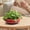 Red#24, variant on Vintage Blue Ceramic Succulents planter, 7.3x6.1 in Large Round Flower Pot with Distressed Texture, Sealed Leakproof Indoor Desktop Garden Decor