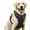 Black, variant on Reflective Dog Harness No Pull Dog Vest Harness With Handle, Breathable Padded Dog Chest Harness Adjustable for Small to Large Dogs, Pink, Size L