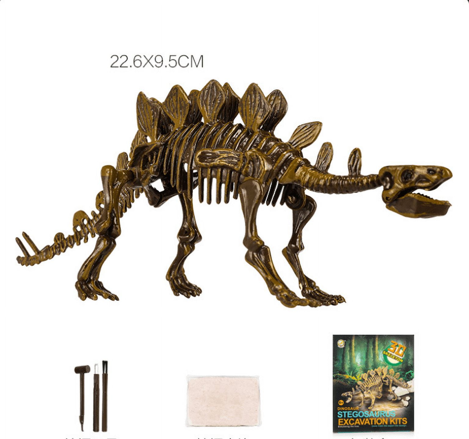 PlayWorld Prehistoric Past Dinosaur Skeleton Fossil Excavation Kit Stegosaurus
