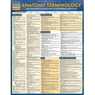 Medical Coding ICD-10-CM : a QuickStudy Laminated Reference Guide ...