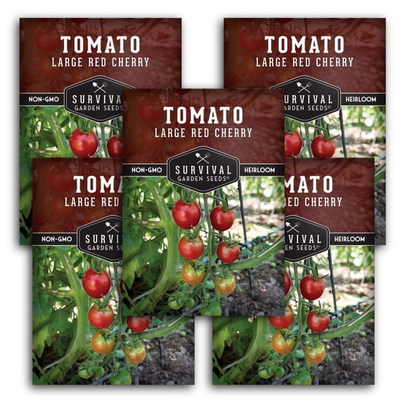 5 Packs Large Red Cherry Tomato Seeds - Full Sun Annual Vegetable