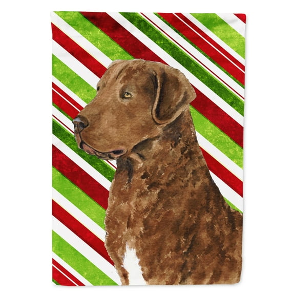 Carolines Treasures SS4600-FLAG-PARENT Chesapeake Bay Retriever Candy Cane Holiday Christmas Flag  multicolor
