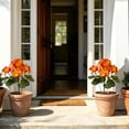 thumbnail image 6 of Artificial Geraniums Faux Flowers UV Resistant Realistic Bouquet for Garden Patio Porch Window Box Hanging Basket Home Wedding Party Decorations, 6 of 7