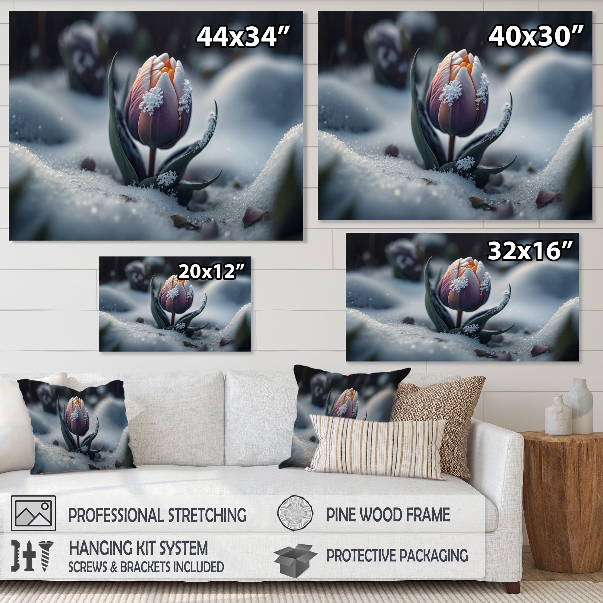 Designart A Blooming Multicolor Tulip Flower In Winter II Canvas Wall Art