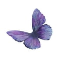 thumbnail image 1 of Ofertas Únicas 1 Pc Clip de Mariposa con Pico en Degradado para el Cabello en Casa Color Púrpura, 1 of 1