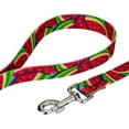 thumbnail image 2 of Country Brook Petz - 1/2 inch Summer Melon Dog Leash - 4 Foot, 2 of 4