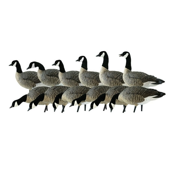 Avian X AXP Lessers Outfitter Pack, 12 Full Body Canada Goose Decoys w/ Bag