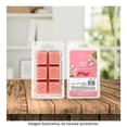 thumbnail image 4 of Cubos de Cera Aromática Mainstays Sueño Floral 70 G, 4 of 4