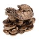thumbnail image 1 of Feng Shui China Estatua del Dragón Tortuga Oro Trae Poder Adornos de Oficina Bronce, 1 of 9