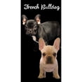 thumbnail image 1 of Beach Towel Oversize Bath Beach Pool Towels Cotton Velour Size 30x60, French Bulldog, Size: One Size, 1 of 1