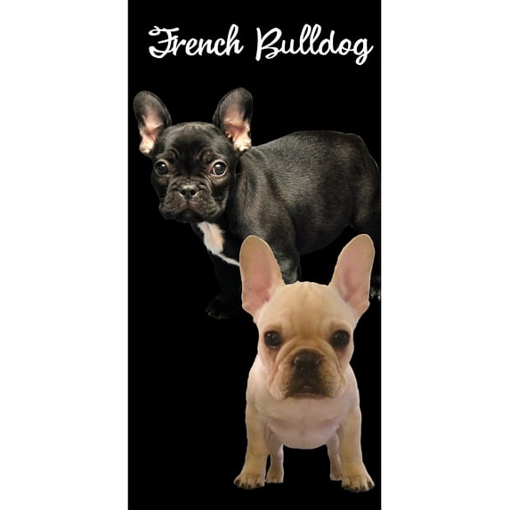 Beach Towel Oversize Bath Beach Pool Towels Cotton Velour Size 30x60, French Bulldog, Size: One Size