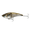 Live HD Mullet, variant on 6th Sense Speed Pump Saltwater Fishing Lure, Jointed Hard Swimbait, Inshore Baitfish Action