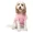 Pink, variant on Collection XIIX Pet Hoodies, Black, Small
