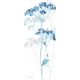 thumbnail image 3 of Coulter, Cynthia 8x14 Black Modern Framed Museum Art Print Titled - Indigo Botanical panel IV, 3 of 5