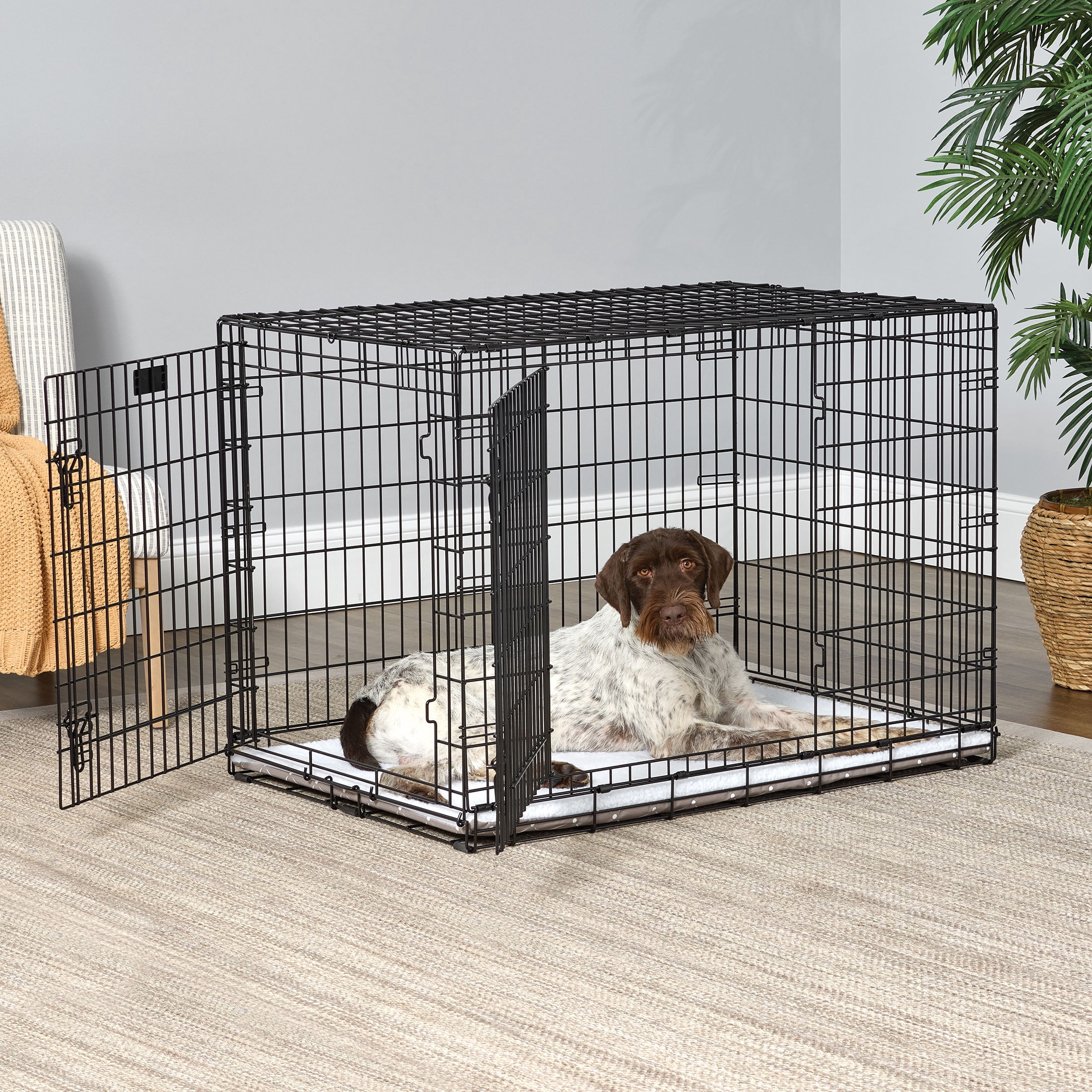 MidWest Homes for Pets QuietTime Reversible Dog Crate Pan Cover, 42 inch, Fleece, Mushroom Diamond