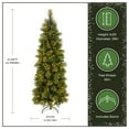 thumbnail image 5 of 6.5 ft. Pre-Lit Artificial Carolina Pine Slim Christmas Tree, Green, Clear Lights, Includes Stand, 5 of 9