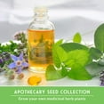 thumbnail image 5 of 18 Pack Medicinal Herb Seed Collection - Non-GMO Heirloom Full Sun Perennial & Annual, 5 of 9
