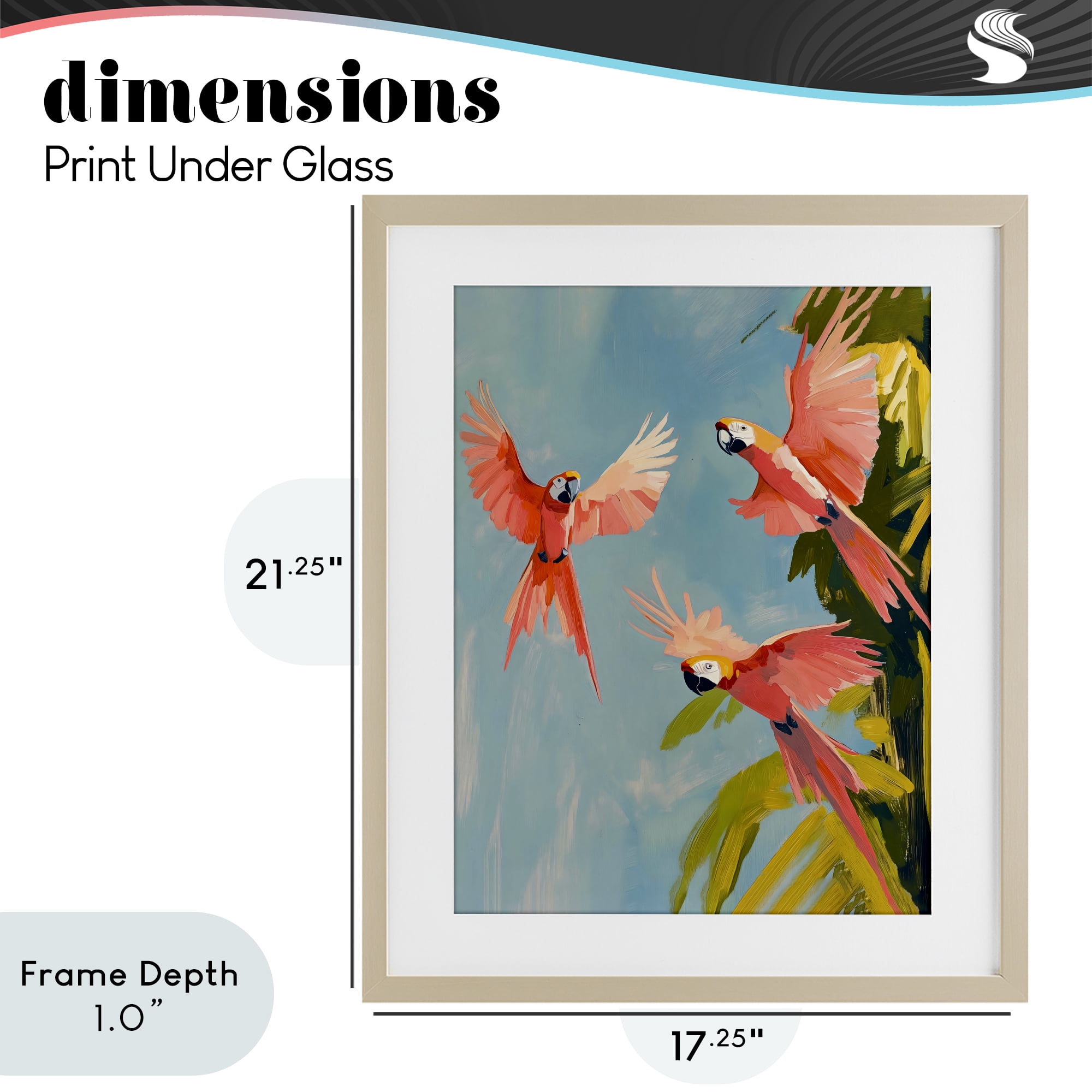 Stupell Industries Botanical Parrots in Flight Birch Framed Print Under Glass, design by The Prints Vibe