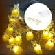 thumbnail image 5 of LED de 20 hadas, luz con pilas, iluminación de alambre de cobre resistente al agua para cortina, decoración del hogar para conejo amarilla SM SunniMix Luces de hadas, 5 of 8