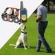 thumbnail image 3 of Collar de adiestramiento para perros con con remoto - Collar de adiestramiento eléctrico recargable impermeable de 2625 pies para perros pequeños, - 2x negro 1x naranja SM SunniMix Collar de entrenamiento, 3 of 7