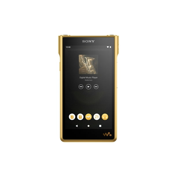 【SONY WALKMAN　NW-WM1ZM2】L Sony-NW-WM1ZM2-256GB-Signature