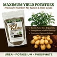 thumbnail image 6 of Old Cobblers Farm™ Wicked Growth Seed Potato Fertilizer-Strengthens Roots, Boosts Yields, and Supports Healthy Potato Growth with Eco-Friendly, Slow-Release Nutrients. (5/10/15/20 lbs)(10lbs), 6 of 10