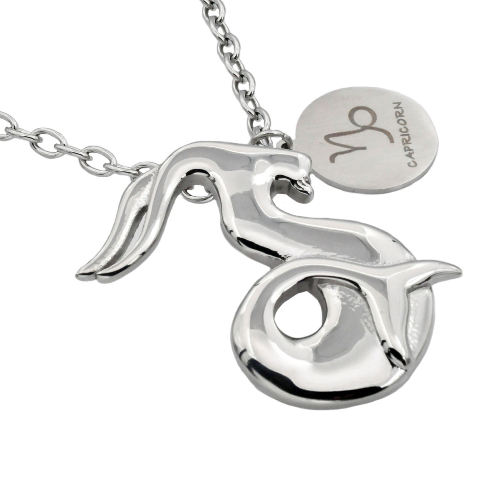 Mens Capricorn Zodiac Stainless Steel 