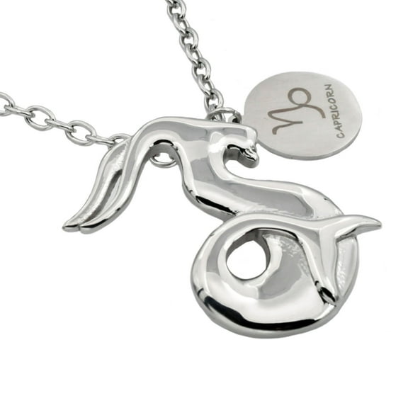 Mens Capricorn Zodiac Stainless Steel Pendant
