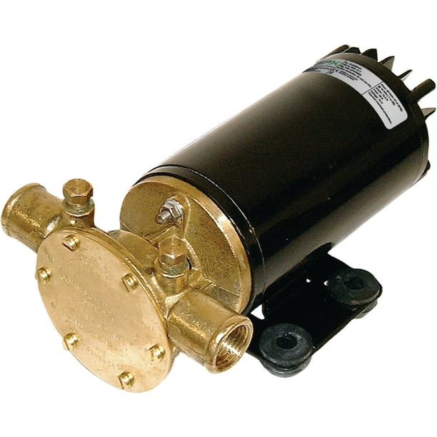 Johnson Pump F4B19 12V 12.5 GPM Pump for Bilge Pumping, Deckwash