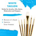 thumbnail image 4 of Set de Brochas de Pintura Princeton RealValue Taklon Blanco 6 Piezas, 4 of 5