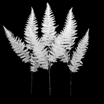 3 Pack of White Layered Leafy Glitter Picks