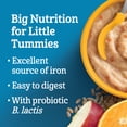 thumbnail image 3 of GERBER Stage 4 Multigrain Apples & Oranges Baby Cereal, 3 of 7