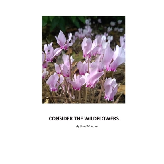 Consider the Wildflowers (Paperback) by Carol a Mariano
