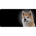 thumbnail image 1 of Akita Dog Photo License Plate Free Personalization on this Plate, 1 of 1