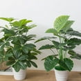thumbnail image 5 of Guanyin artificial que gotea, planta falsa realista con maceta de plástico para decoración del hogar, la oficina y el jardín, 5 of 5