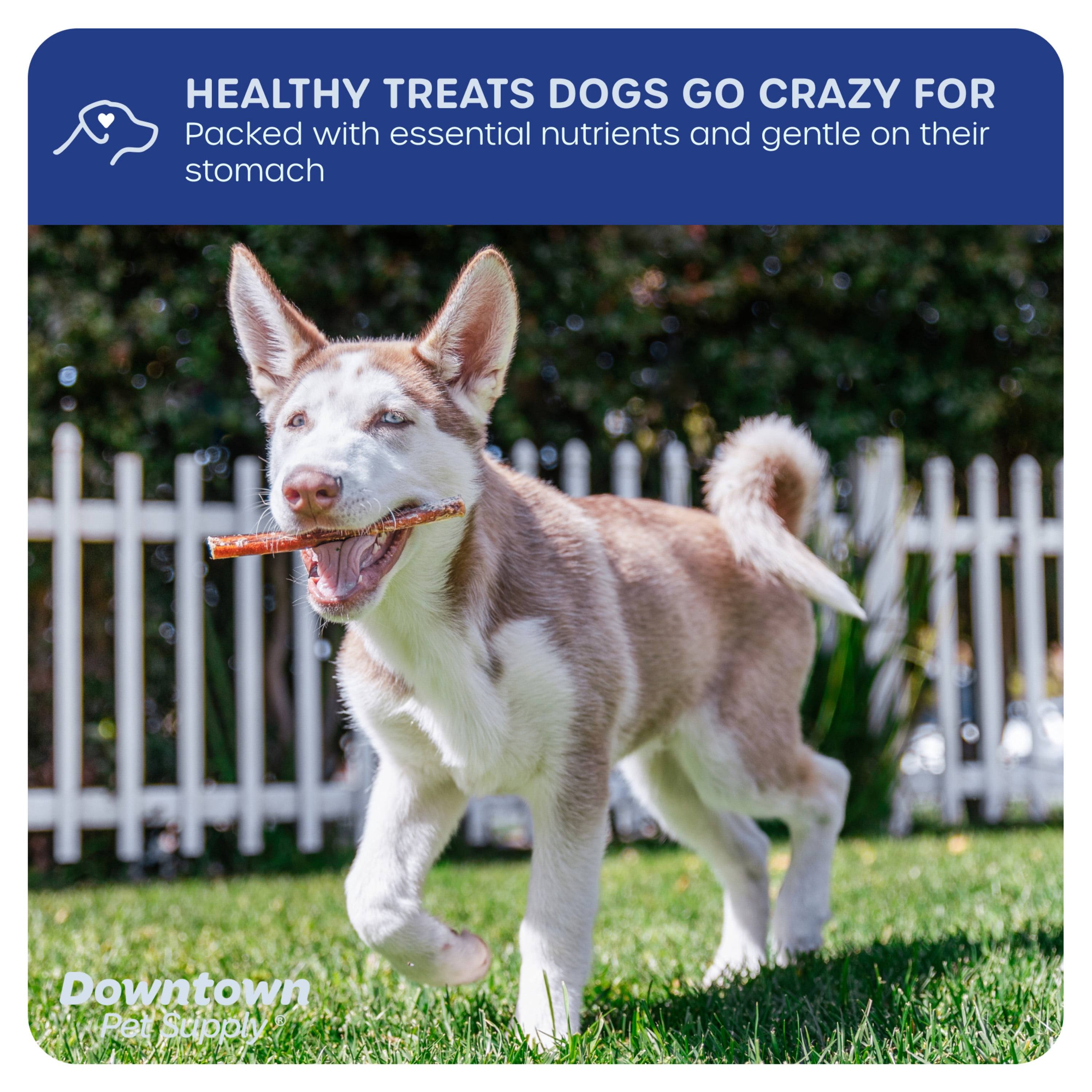 Downtown Pet Supply Bully Sticks For Dogs Rawhide Free Dog Chews 48 Pack